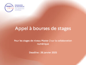 Lire la suite à propos de l’article Appel à bourses de stages Master 2 – Janvier 2025